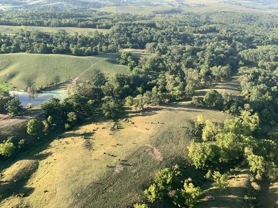 We went back to the Anamosa area and flew last night.