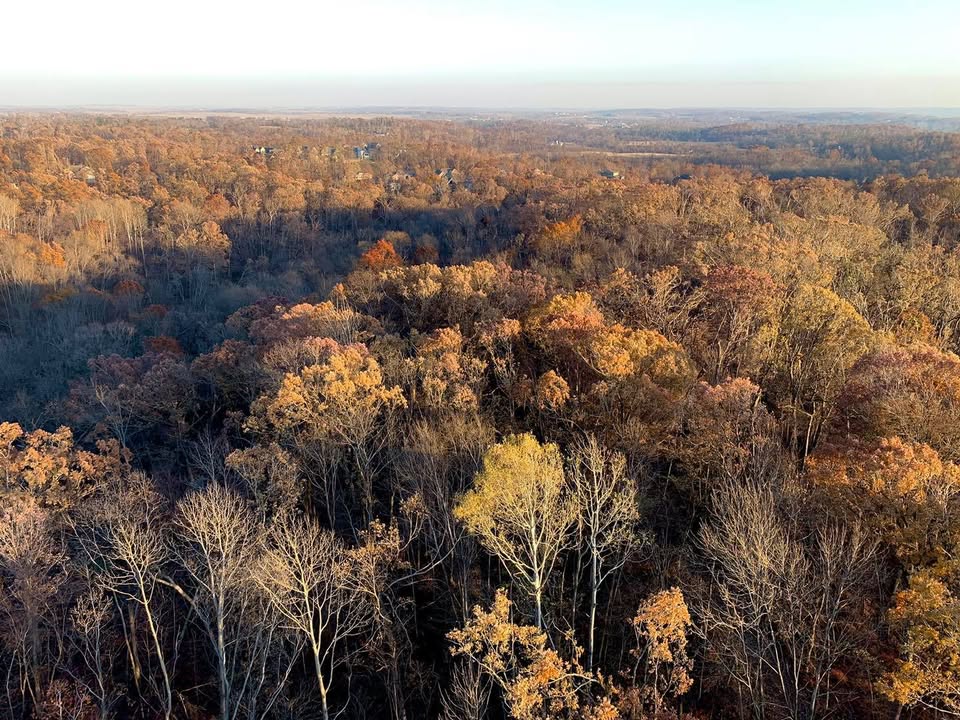 Flying in November with 70 degree temps and light winds!