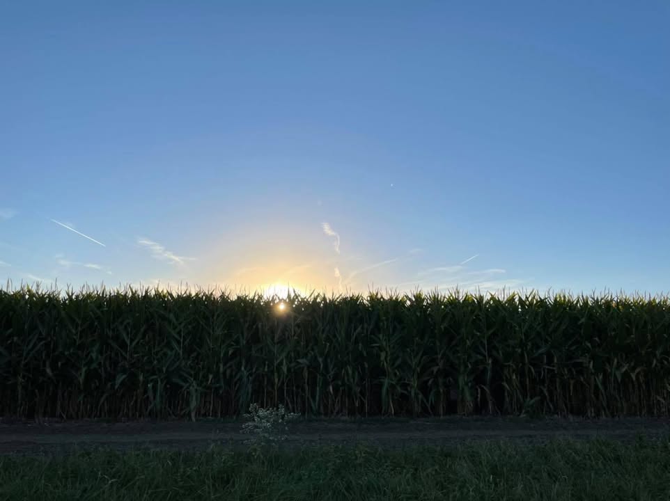 The wind died down enough last night so we could glow at Bass Farm’s Fall Celebration.