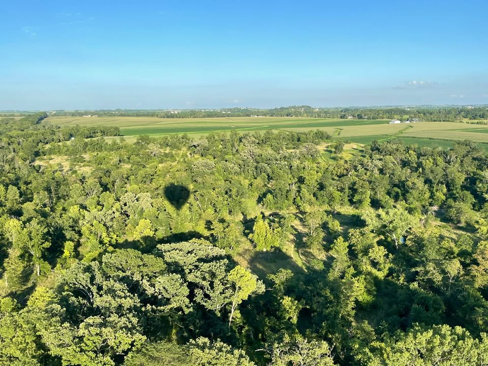 Last night we celebrated the anniversary of the invention of Champagne by flying over beautiful...