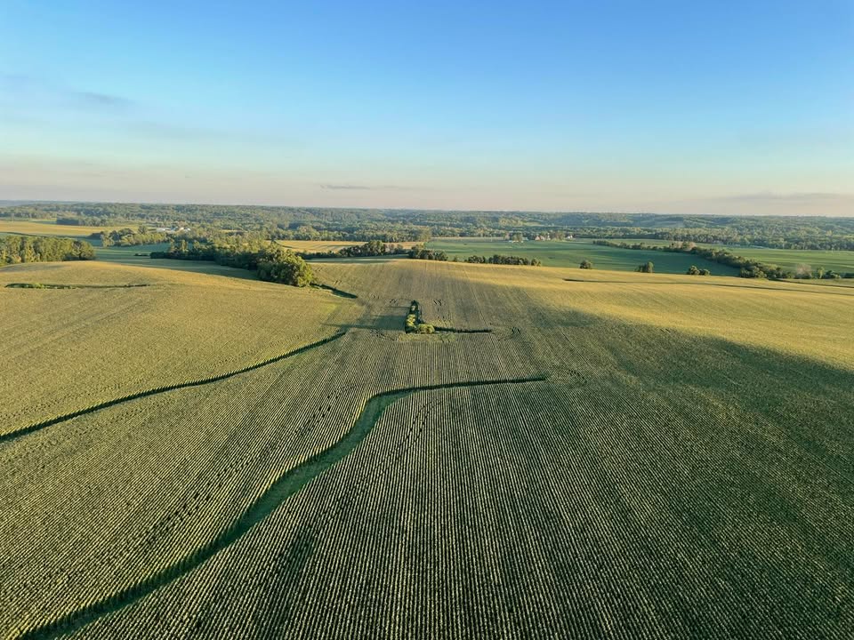 Last night we celebrated the anniversary of the invention of Champagne by flying over beautiful...