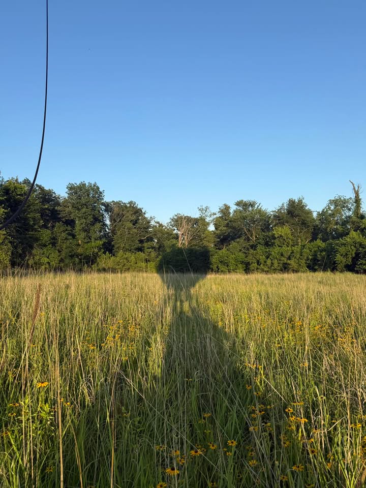 We patiently waited for the winds to die last night and were rewarded.